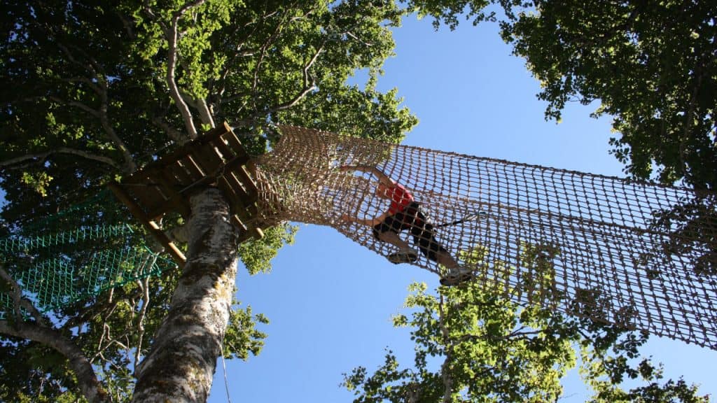 Session d'accrobranche 01-08-2023 format Hero