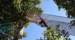 Session Accrobranche | Les Filets