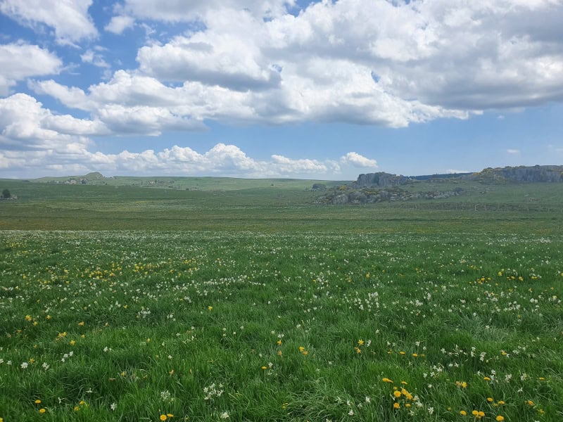 Paysage Aubrac | Nasbinals | La Bessière | Vue sur Marchastel