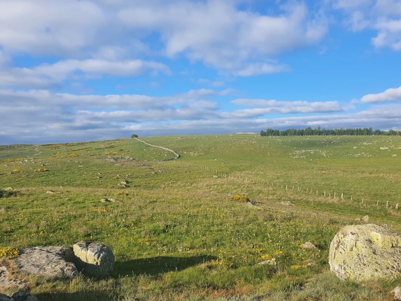 Paysage Aubrac | Autour de Nasbinals