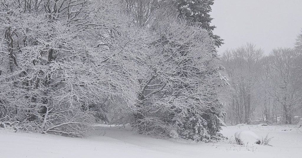 Premier jour de neige | Nasbinals | Station de ski du Fer à Cheval | 2024-2025
