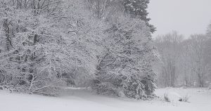 Premier jour de neige | Nasbinals | Station de ski du Fer à Cheval | 2024-2025