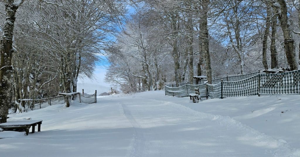 Le Fer à Cheval | Hiver 2024 | Nasbinals