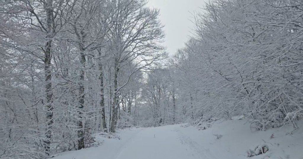 Piste de fond - Station de ski du Fer à Cheval - Nasbinals