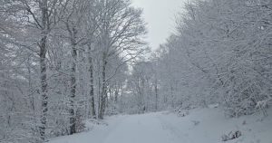 Piste de fond - Station de ski du Fer à Cheval - Nasbinals